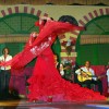 Ансамбль испанского танца «Милагрес»