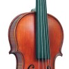 ФЛЕЙТА, Фортепиано, СКРИПКА, ГИТАРА, БАЯН, АККОРДЕОН, ДОМБРА