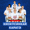 Киокусинкай каратэ (Карате)