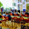 Шахматы (на ул. Арнольда Нейбута)