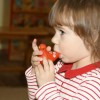Студия развития детей раннего возраста «Теремок»