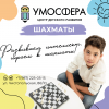 Шахматы