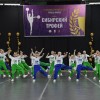 Чир-спорт (на ул. 26 Северная 13 А корпус 6)