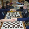 Шахматы и логические игры
