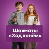 Шахматы 