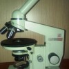 Увлекательная микроскопия