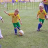 Футбольная школа «Юниор» (на ул. Стачек)