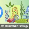 биология химия физика общество