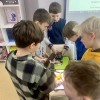 Летний языковой лагерь с носителями языка Step2Speak (неполный день)