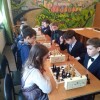Шахматная секция «Каиса»