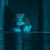 Жуткий квест «Кошмар на улице Вязов»
