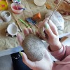Мастер-классы по ручной лепке из глины для детей