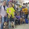 Детский кинологический клуб 