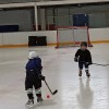 детская секция хоккея с шайбой