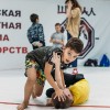 Кировская областная школа единоборств 
