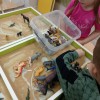 Развивашка. Творческие занятия для детей 3-5 лет