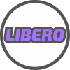 Волейбольная школа LIBERO