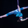 Воздушная гимнастика, цирковое искусство