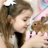 Занятия в творческой студии 