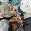 Научно-технический летний клуб «Фабрика науки»