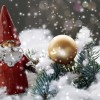 Программа «В поисках Деда Мороза»