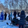 Новогодние программы