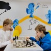 Шахматная школа Феномен
