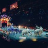 Grandes (цирковое искусство и гимнастика, концертная группа)