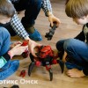 Летний научно-технический лагерь «Роботикс Омск». 1, 2, 3 и 4 смена
