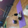 Любительская художественная гимнастика (индивидуальные занятия)