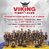 Клуб единоборств Viking