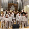 Школа эстрадного вокала Анны Шинковой
