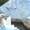Экскурсия в г. Новоибирск