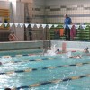 Обучение плаванию детей и подростков (коммерческие группы)