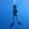 Подводный спорт, плавание в ластах