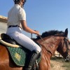 Спортивный клуб конного дома Арион
