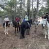 Спортивный клуб конного дома Арион