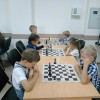 Шахматная студия