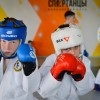 Единоборства для школьников  (школы во всех районах города)