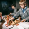 Научная программа «Архитектура»