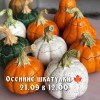 Мастер-класс по ручной лепке из глины