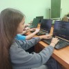 Разработчик сайтов