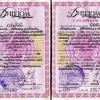 Музыка