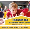 Шахматы