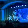 Цирк студия Звёздная пыль