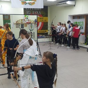 Стрельба из лука