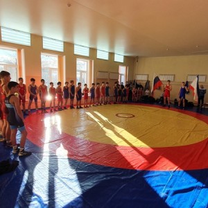 Спортивная (греко-римская) борьба