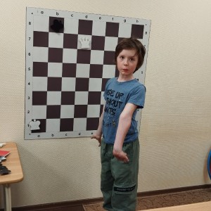 Шахматы