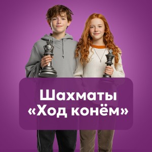 Шахматы 