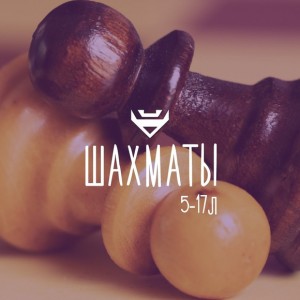 Шахматы
